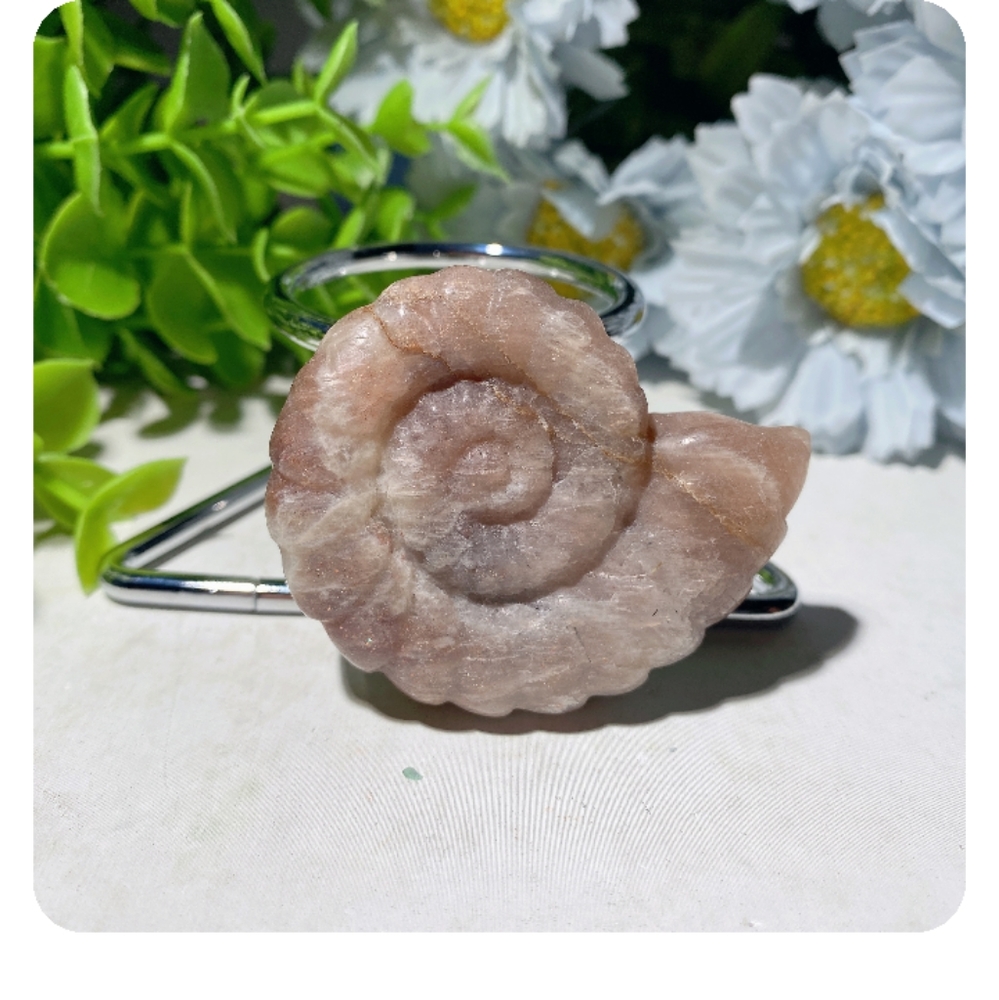 Moonstone Ammonite Shell - Picture 2 of 2